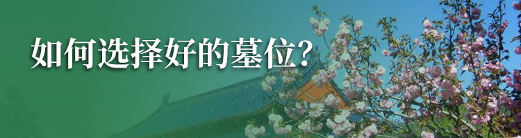 长安园骨灰林官网
