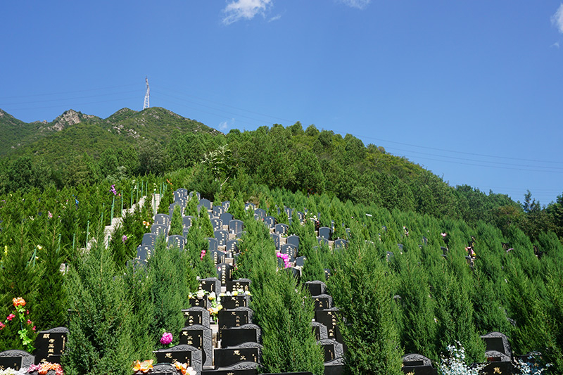什么是风光大葬（风光大葬要多少钱）